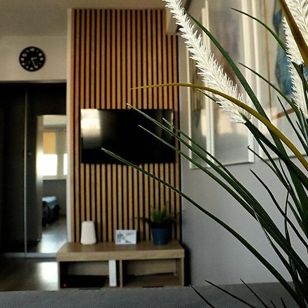 Apartament 8 Pietro Al Wyzwolenia شتشيتسين المظهر الخارجي الصورة