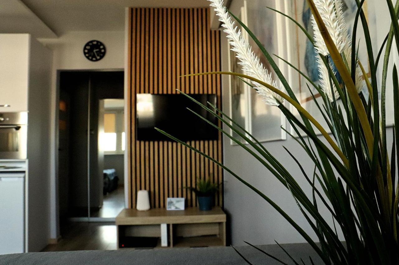 Apartament 8 Pietro Al Wyzwolenia شتشيتسين المظهر الخارجي الصورة